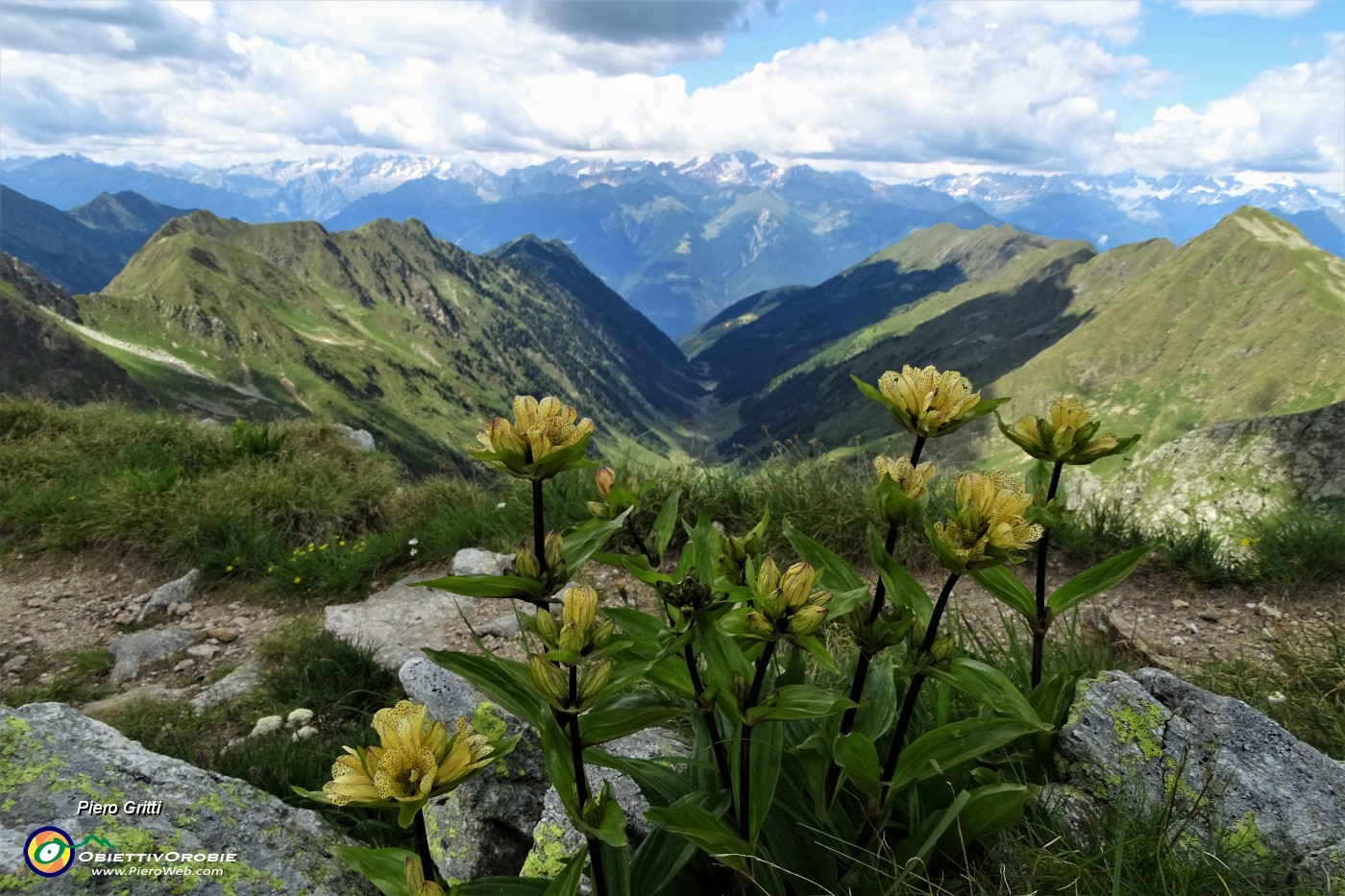 57  Vista in Val Cervia e Alpi Retiche.JPG